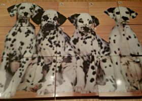 Printed Stair Tiles With Dalmatians Printed Stair Tiles With Dalmatians