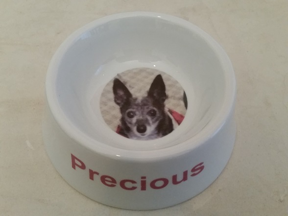 Porcelain Printed Dog Bowls