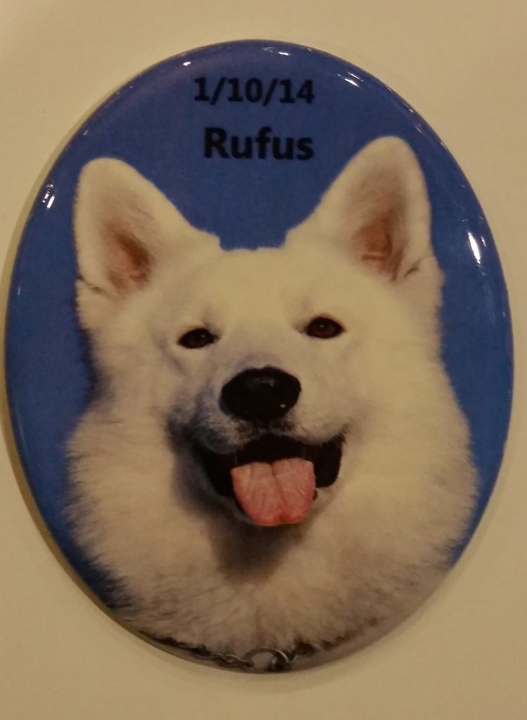 Memorial Tile Actual Head Stone Tile Oval Samoyed Dog